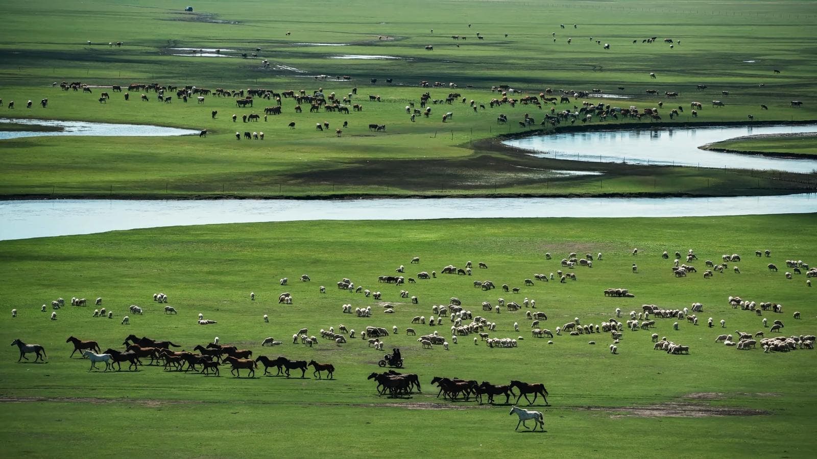 Hulunbuir